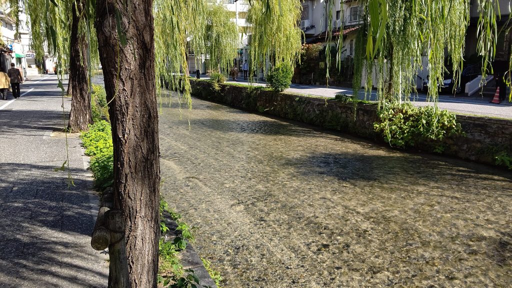 京都で81年ぶりの猛暑日の記録を更新　京都白川の様子